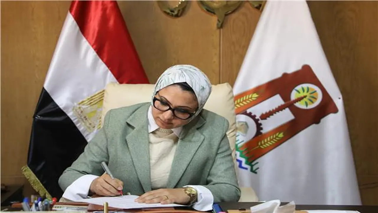 إعلان حالة الطوارئ في مستشفيات الوادي الجديد لمواجهة تقلبات الطقس السيئ المتوقعة